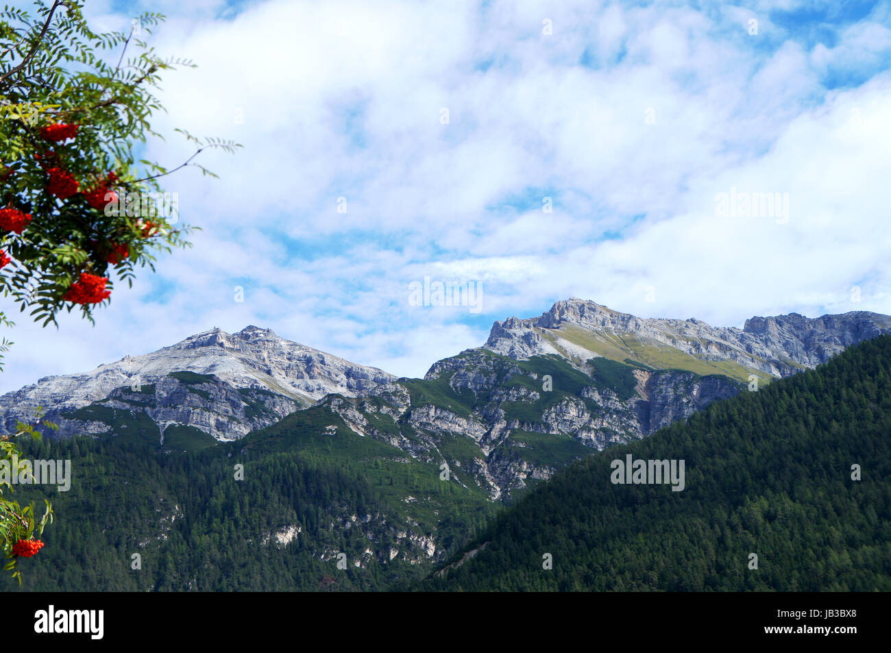 Berglandschaft in den Stubaier Alpen im Herbst, im Vordergrund Ebereschen Mountain scenery in the Stubai Alps in autumn, in the foreground rowans Stock Photo