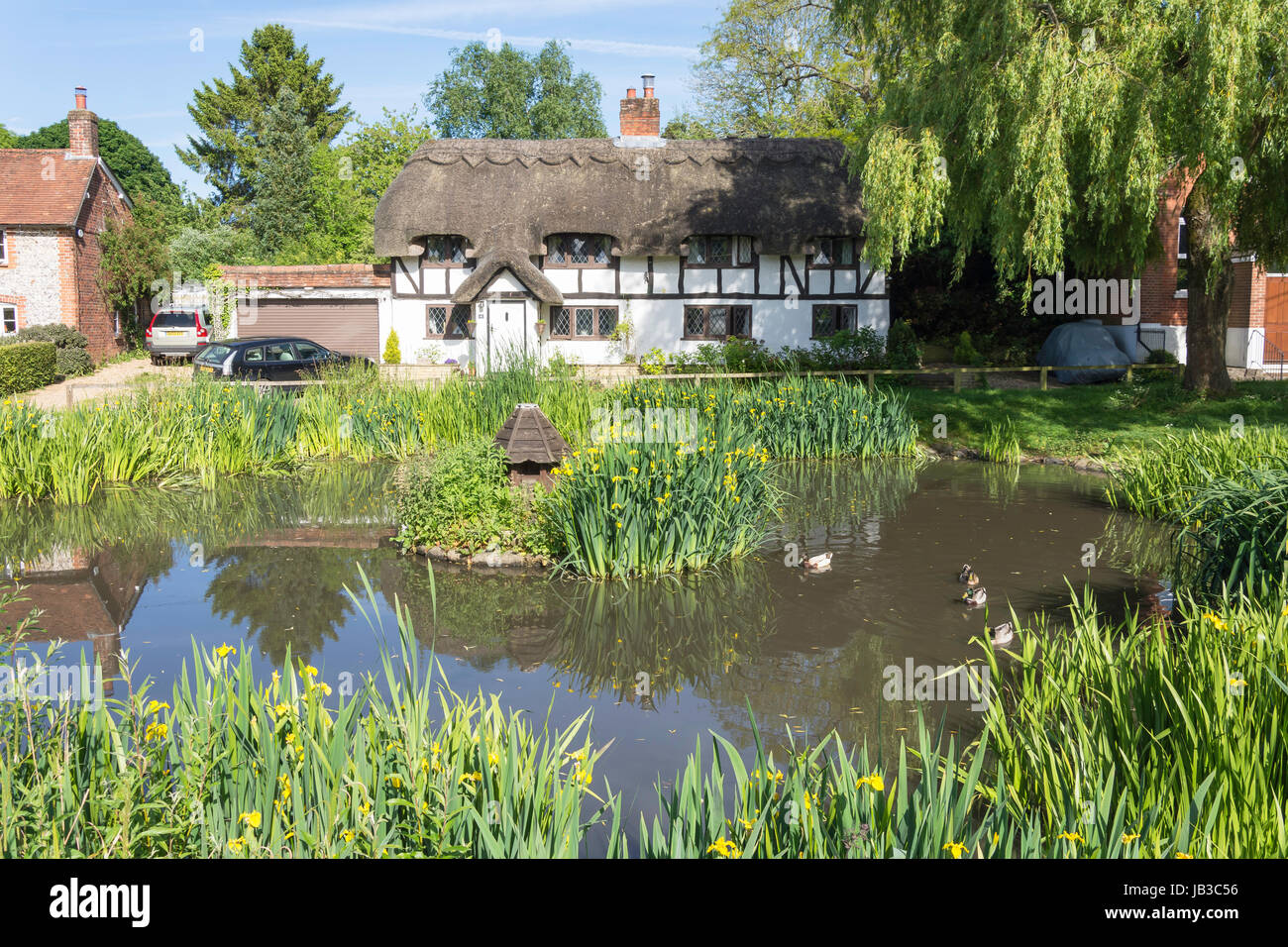 The Duck Pond, Oakley, Hampshire, England, United Kingdom Stock Photo -  Alamy