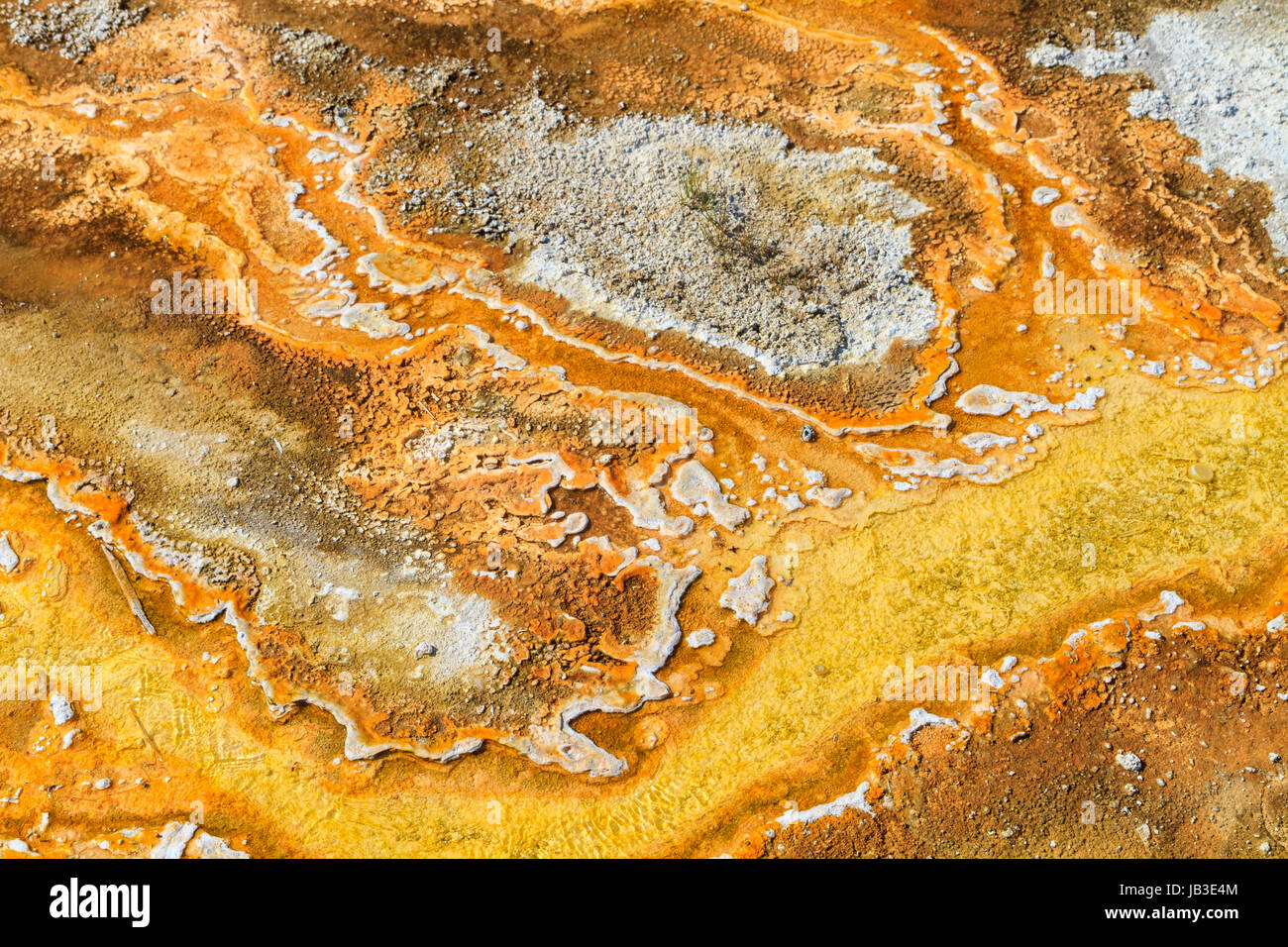 Microbial mats hires stock photography and images Alamy