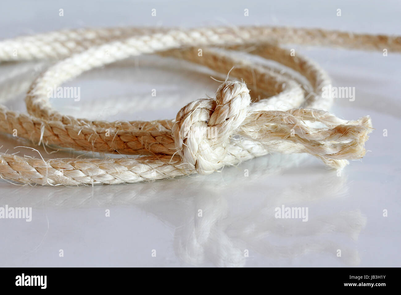 fasten with knots rope Stock Photo