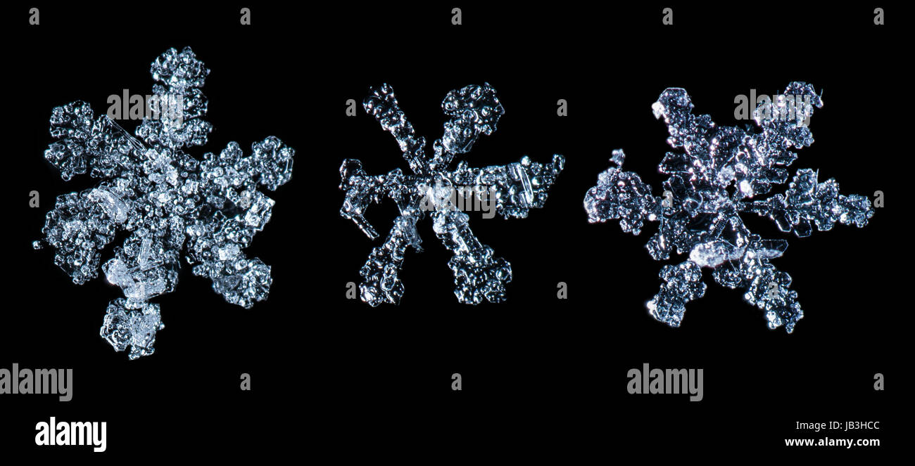 Snowflakes black isolated. Close up macro shot Stock Photo - Alamy
