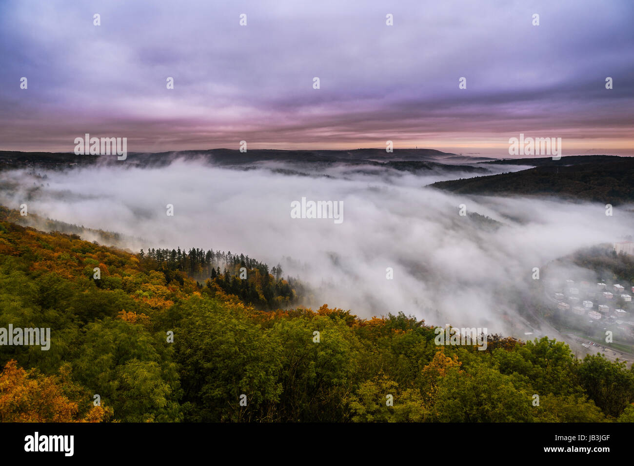 Aerial view of a foggy early morning in forrest Stock Photo - Alamy