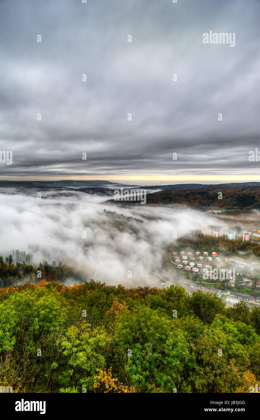 Aerial view of a foggy early morning in forrest Stock Photo - Alamy