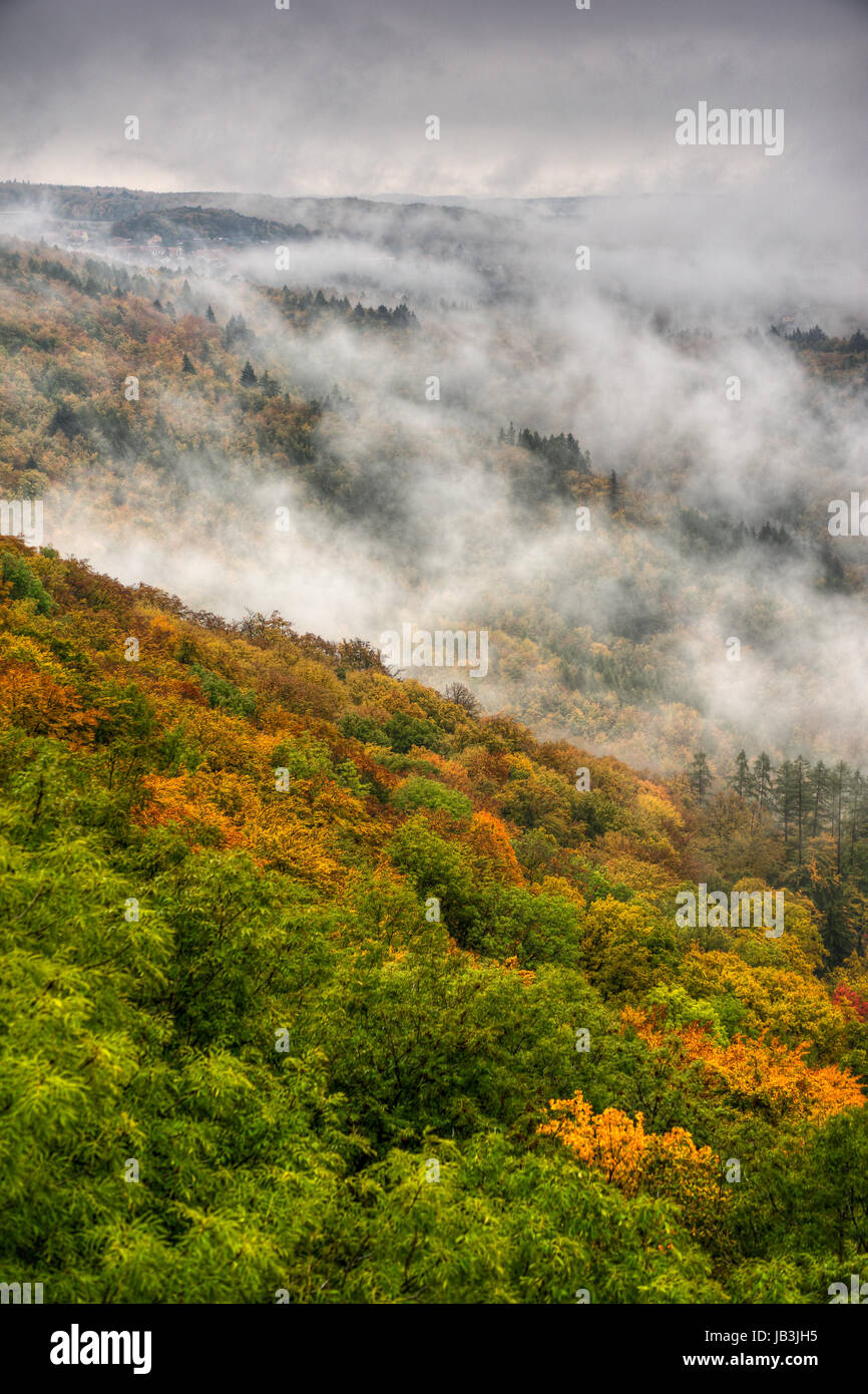 Aerial view of a foggy early morning in forrest Stock Photo - Alamy