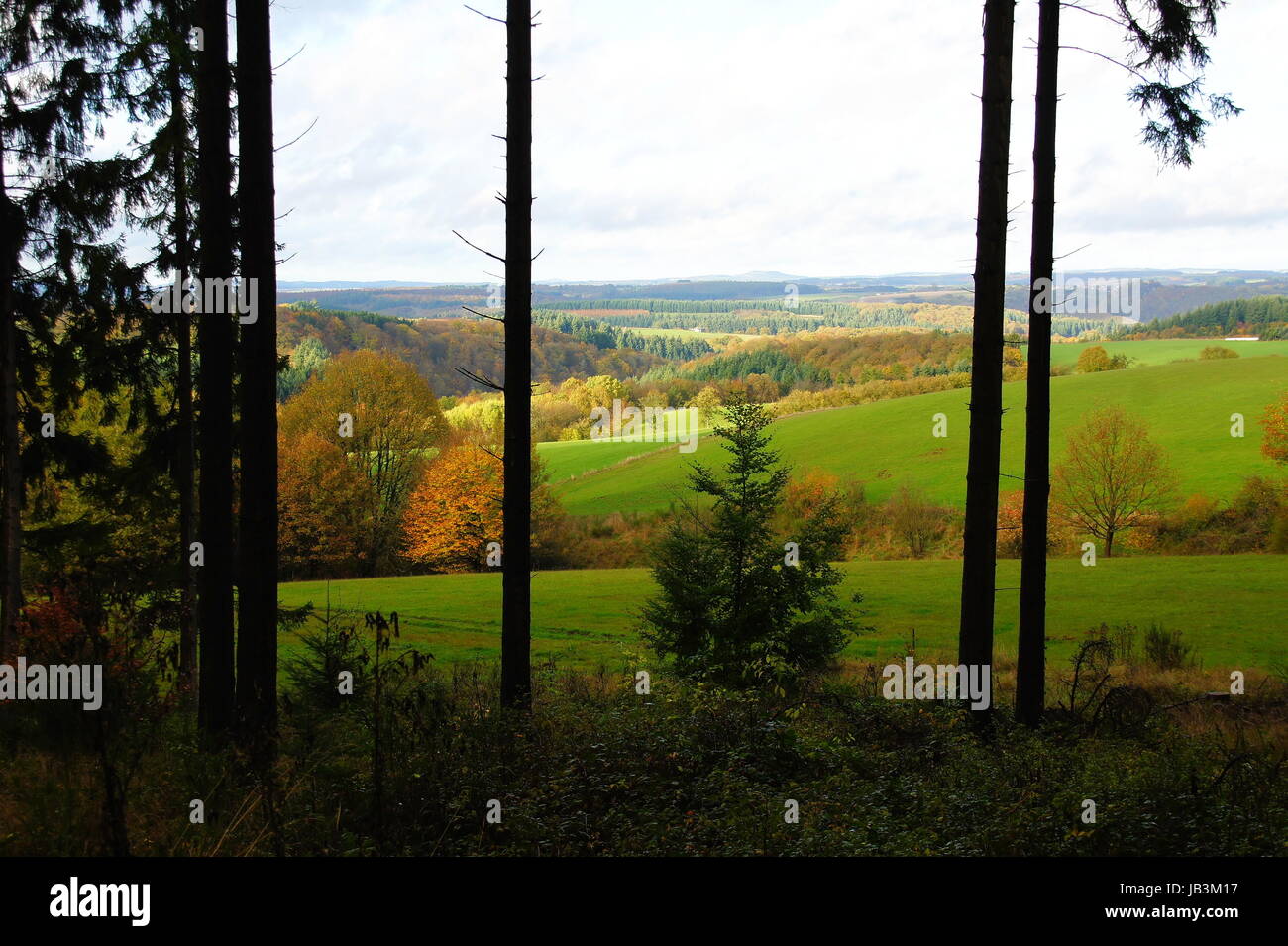 Blick aus dem dunklen Wald auf die herbstliche Landschaft in der Eifel Stock Photo