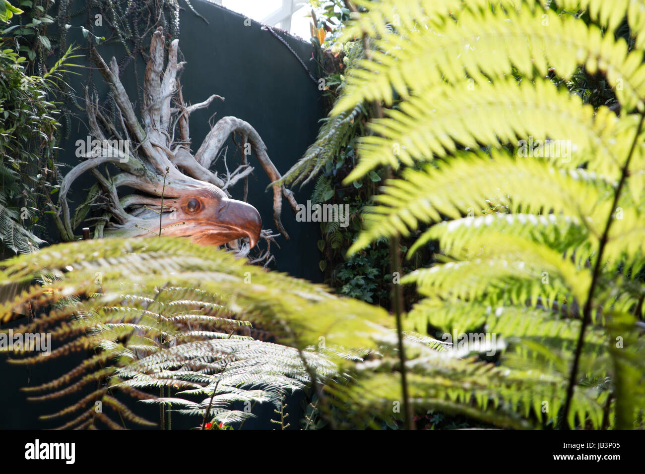 Wooden eagle face at the greenhouse in Gardens by the Bay in Singapore Stock Photo Alamy
