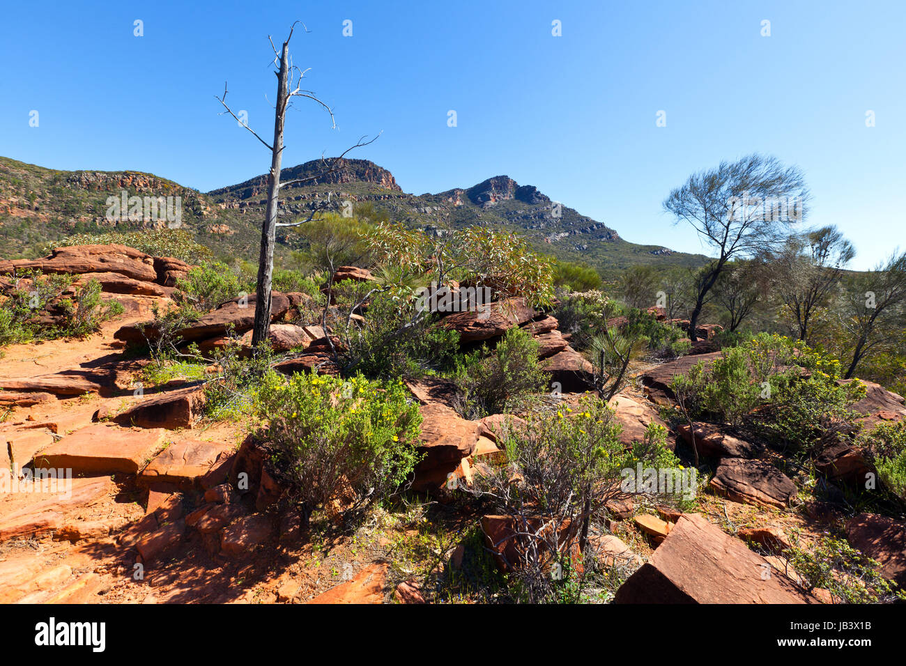 Flinders Ranges South Australia Stock Photo