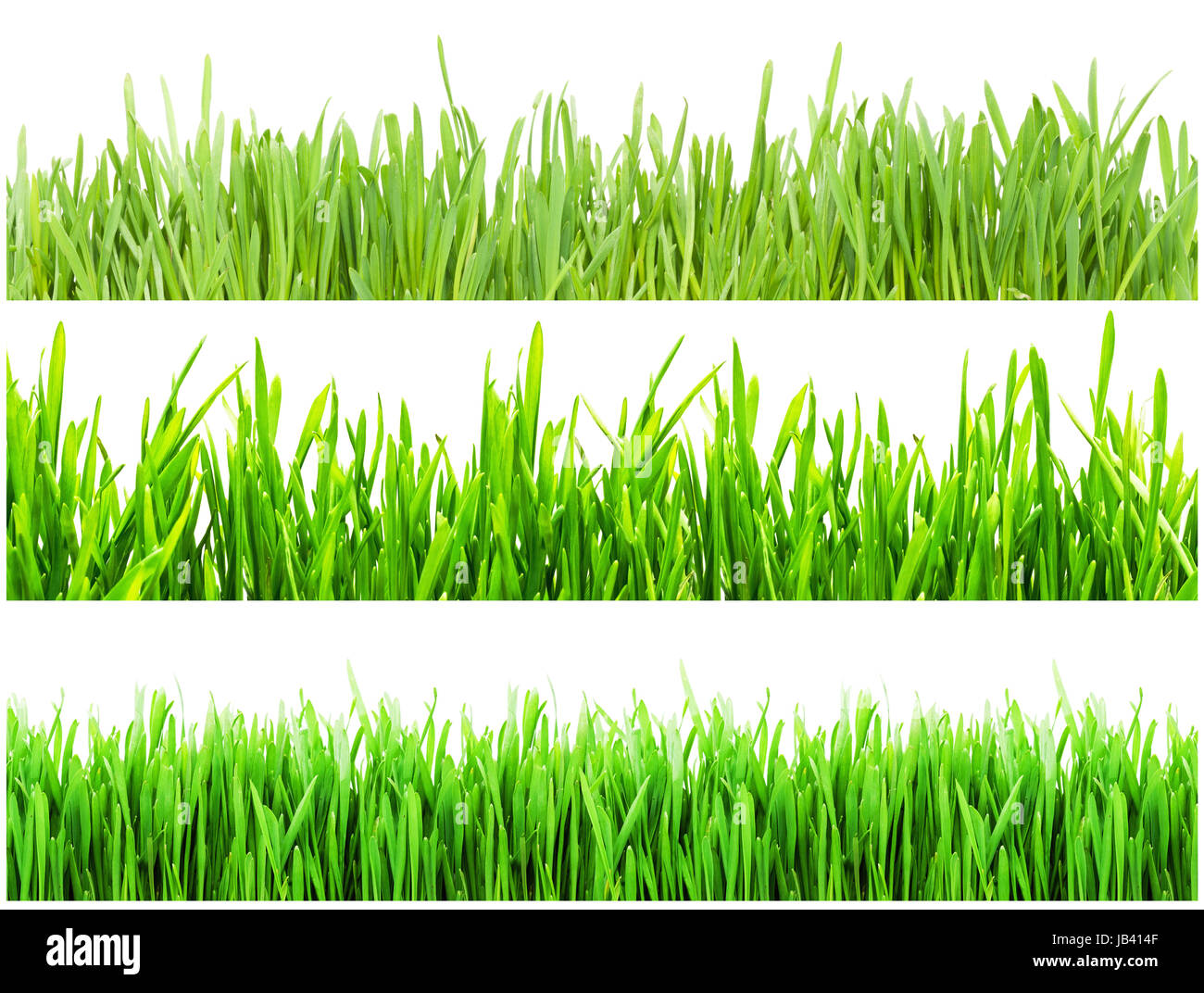 Fresh green grass isolated on white background Stock Photo - Alamy