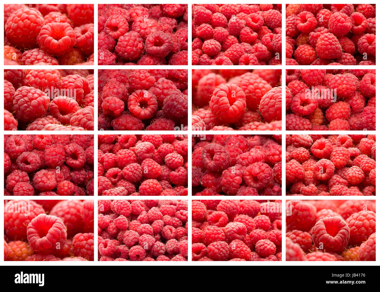 How Many Raspberries Many fresh red raspberries making beautiful background Stock Photo - Alamy
