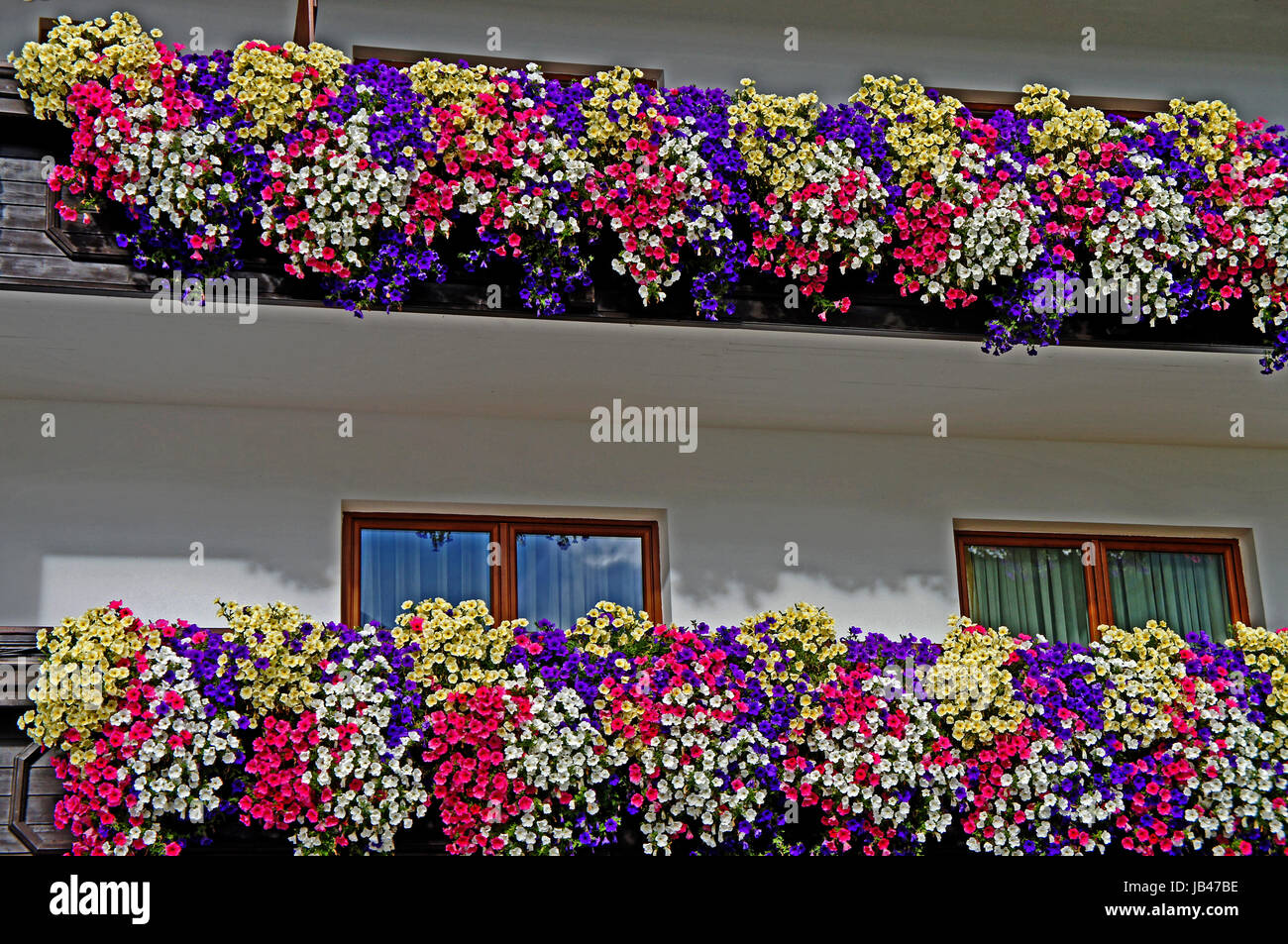 Bunte Blumen an den Balkons eines Hauses, blaue, weiße, gelbe und pinkfarbene Petunien Colorful flowers on the balconies of a house, blue, white, yellow and pink petunias Stock Photo