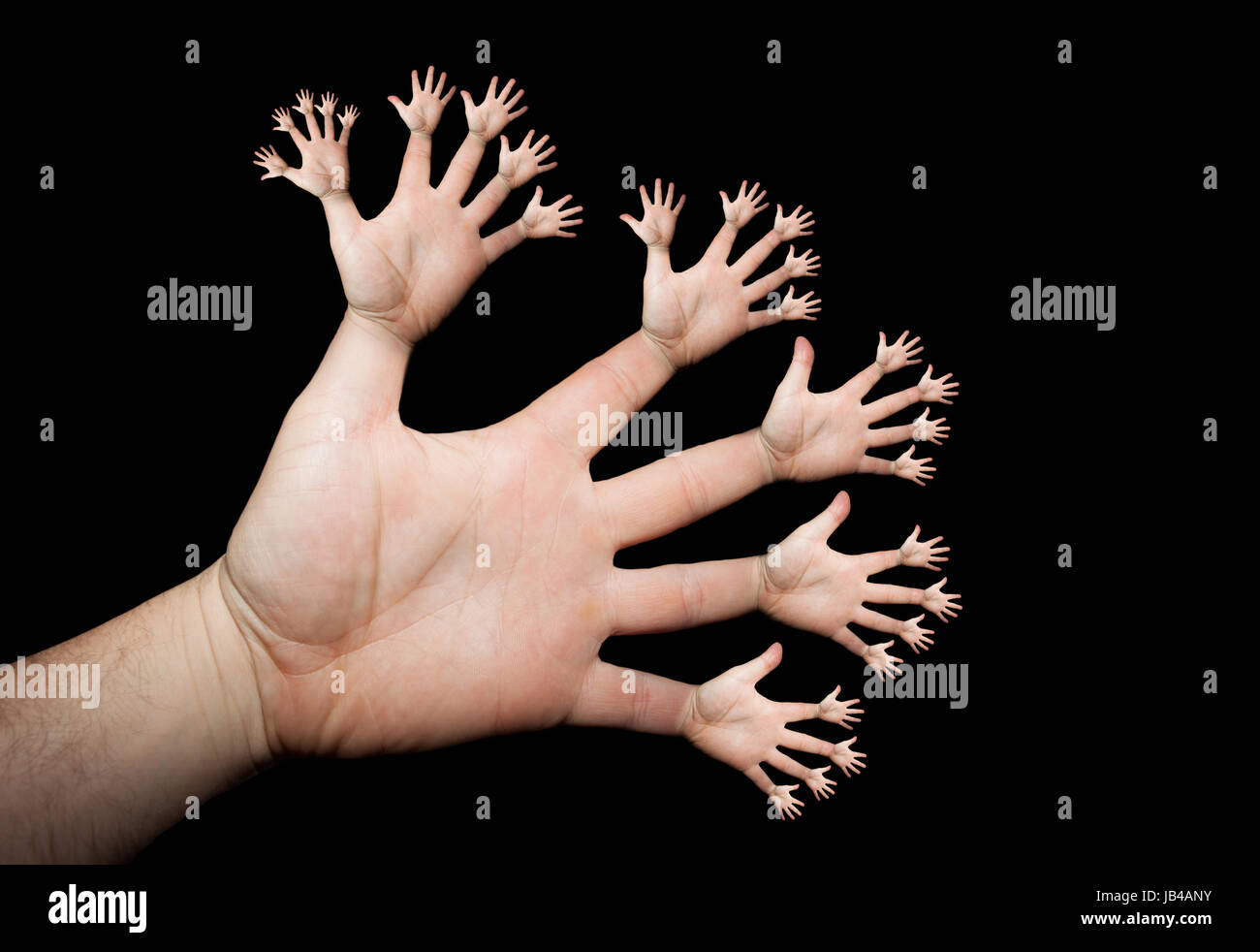 Hände verzweigen sich Stock Photo Alamy