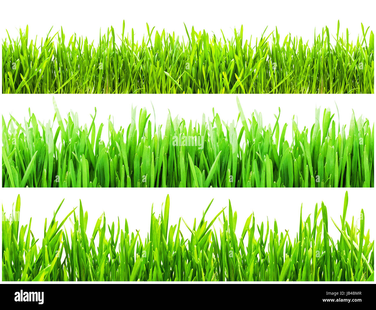 Fresh green grass isolated on white background Stock Photo - Alamy