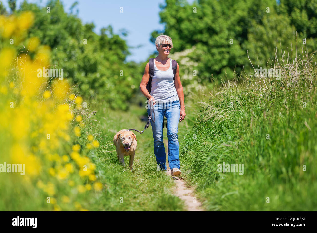 Mature woman hiking labrador hi-res stock photography and images - Alamy