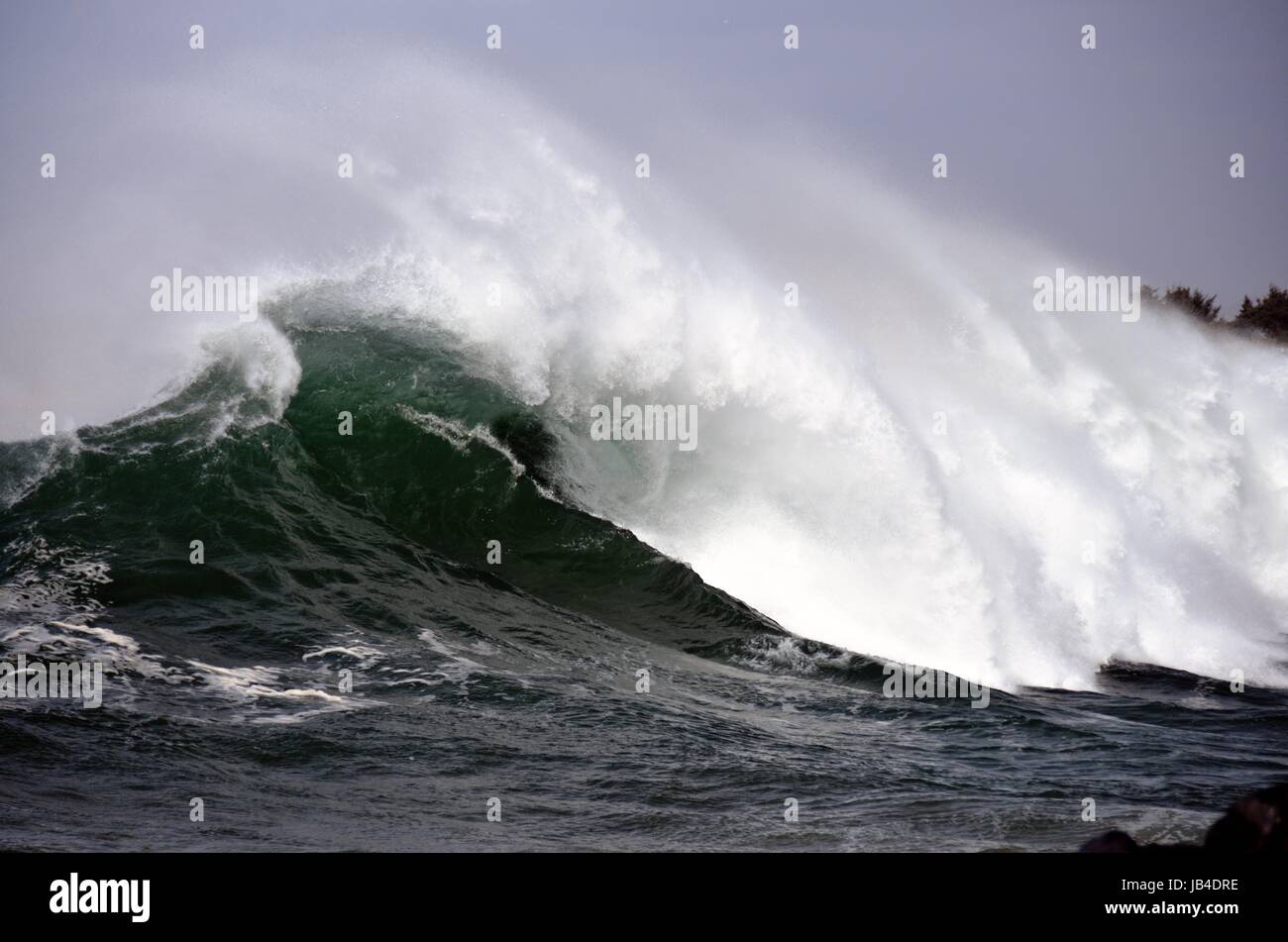 Breaking Wave in Coos Bay Stock Photo