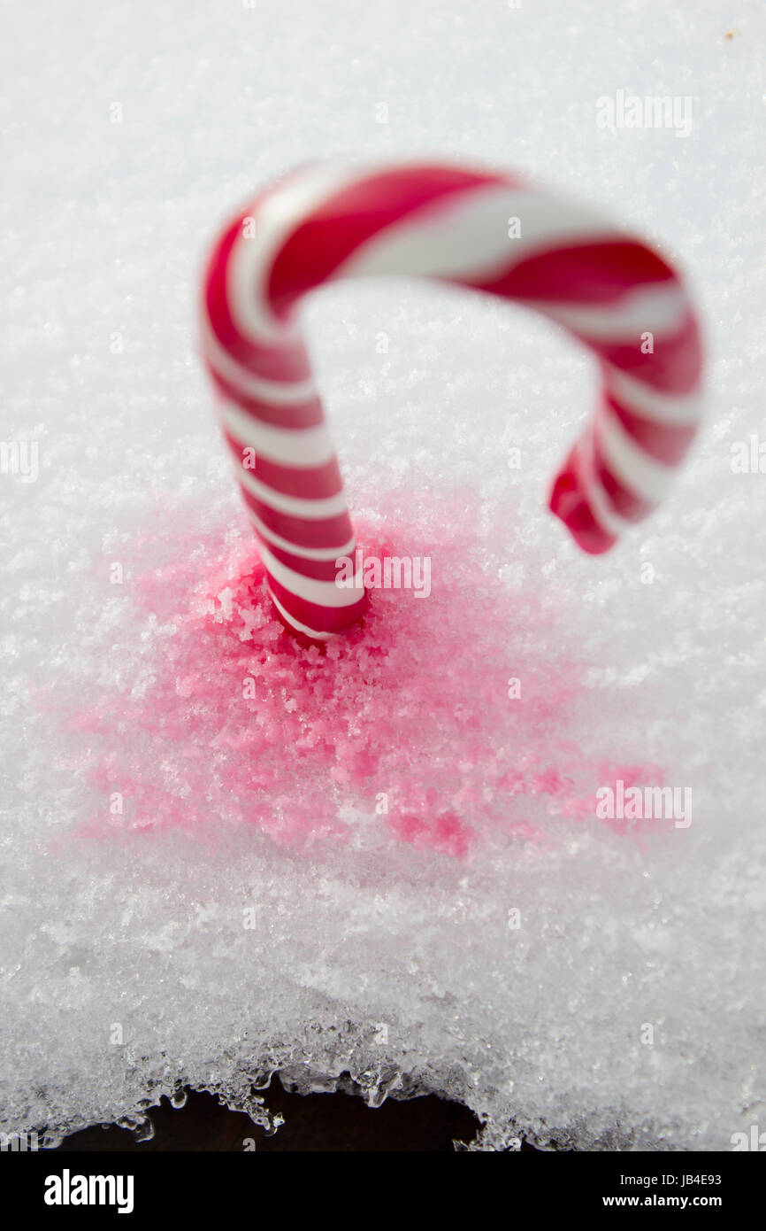 Sweet Red And White Candy Cane Lying In The Snow Stock Photo Alamy