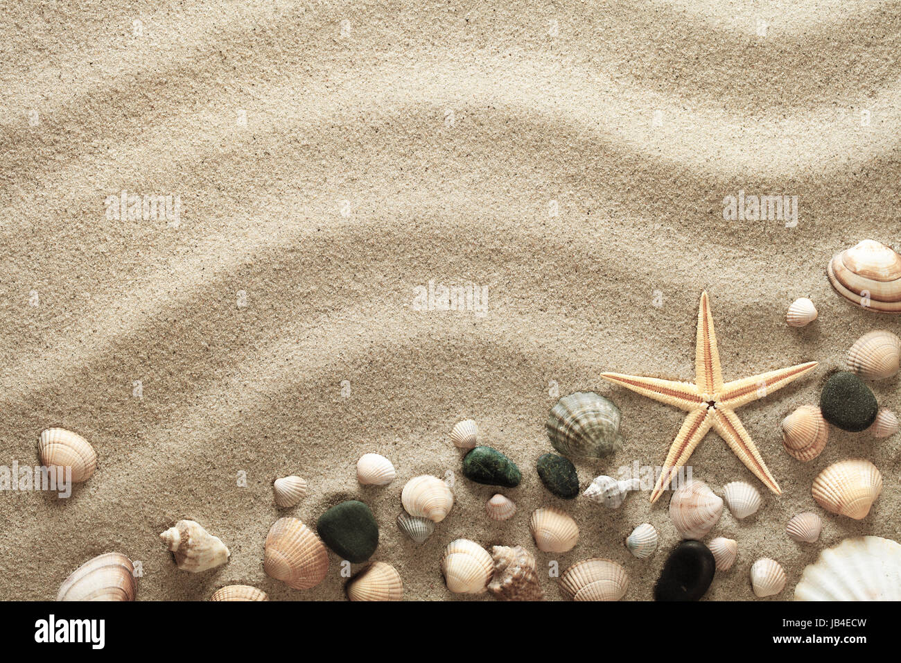 Sandy beach background with shells and starfish. Vacation concept. Top ...