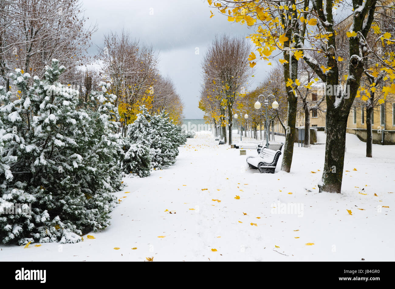 Alley in the Park later in the autumn. Snow storm Stock Photo - Alamy