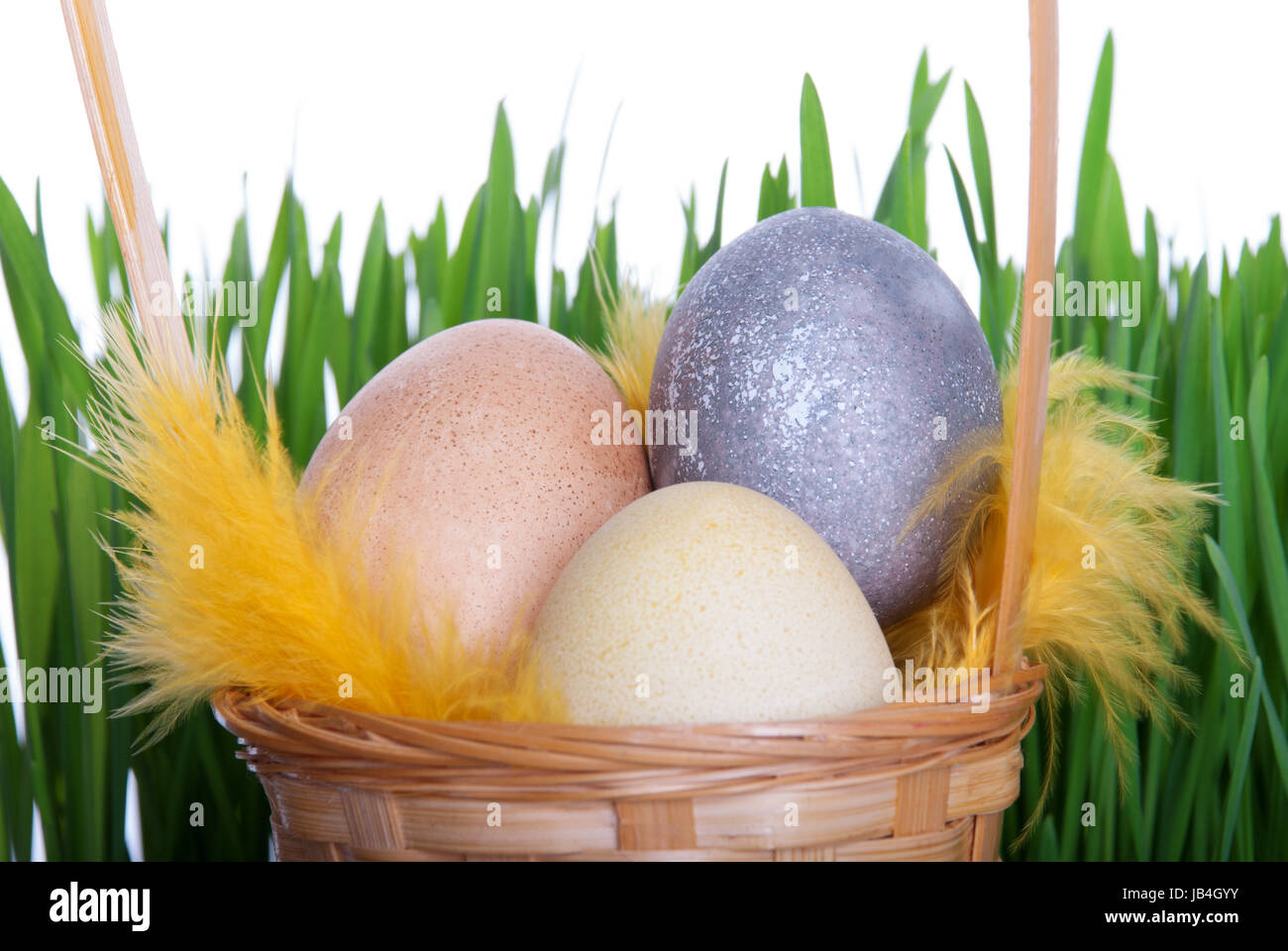 Nest with Easter Eggs and Feathers in front of green Grass Stock Photo ...