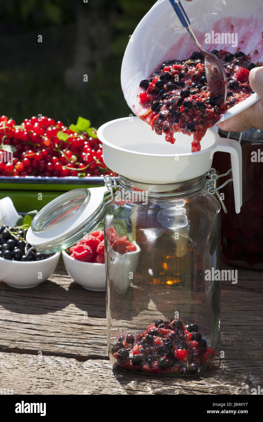 Selber Johannisbeerlikör herstellen, Step 2, zerstampfte Johannisbeeren und Himbeeren in ein großes Einmachglas geben Stock Photo