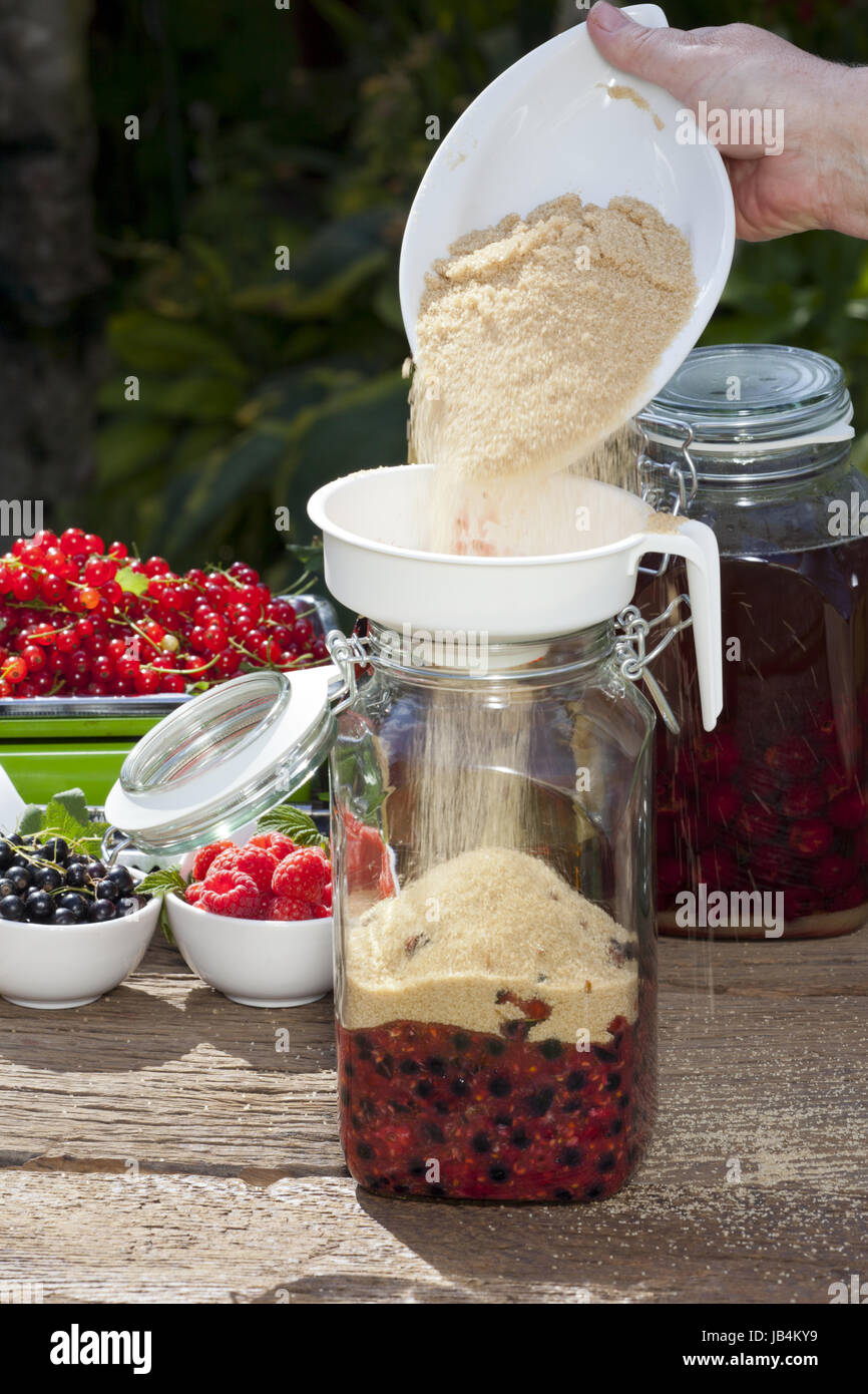 Selber Johannisbeerlikör herstellen, Step 3, Rohrzucker und Gewürze in das Glas mit den Früchten geben Stock Photo