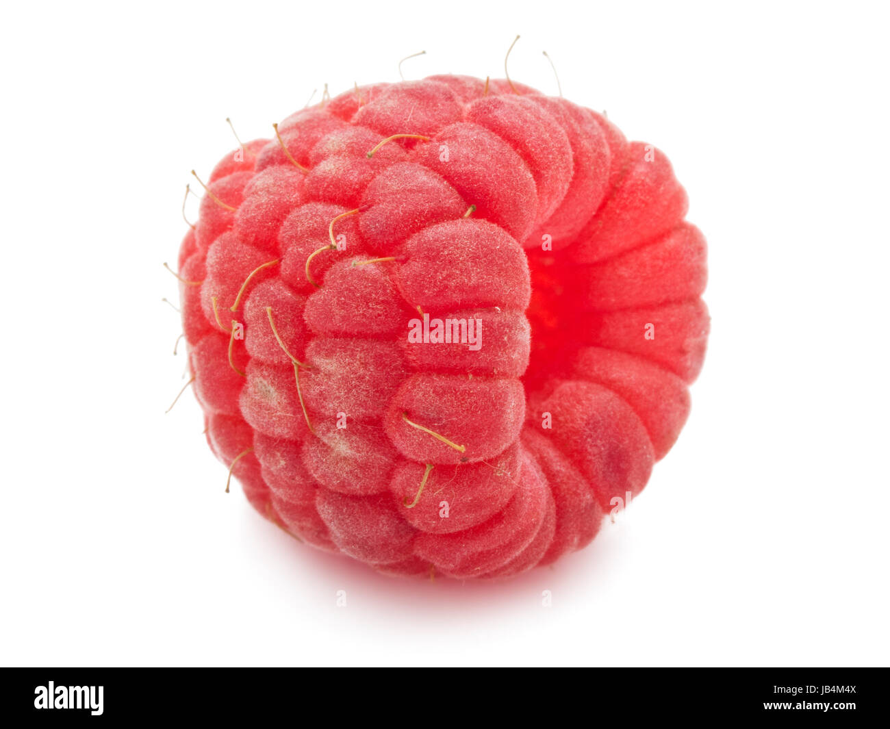 Ripe red raspberry isolated on white background Stock Photo - Alamy