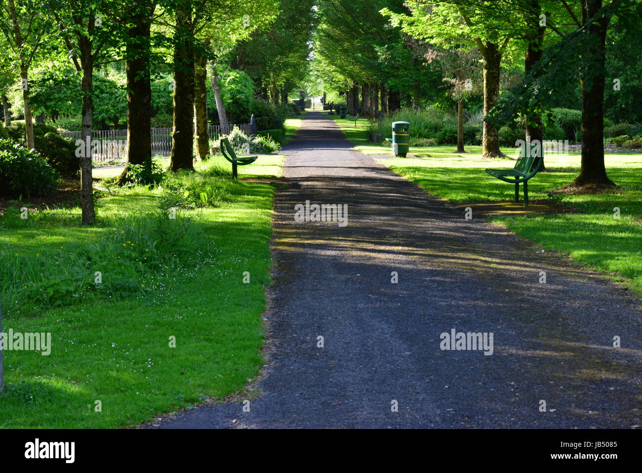 A park at Adare in Ireland Stock Photo