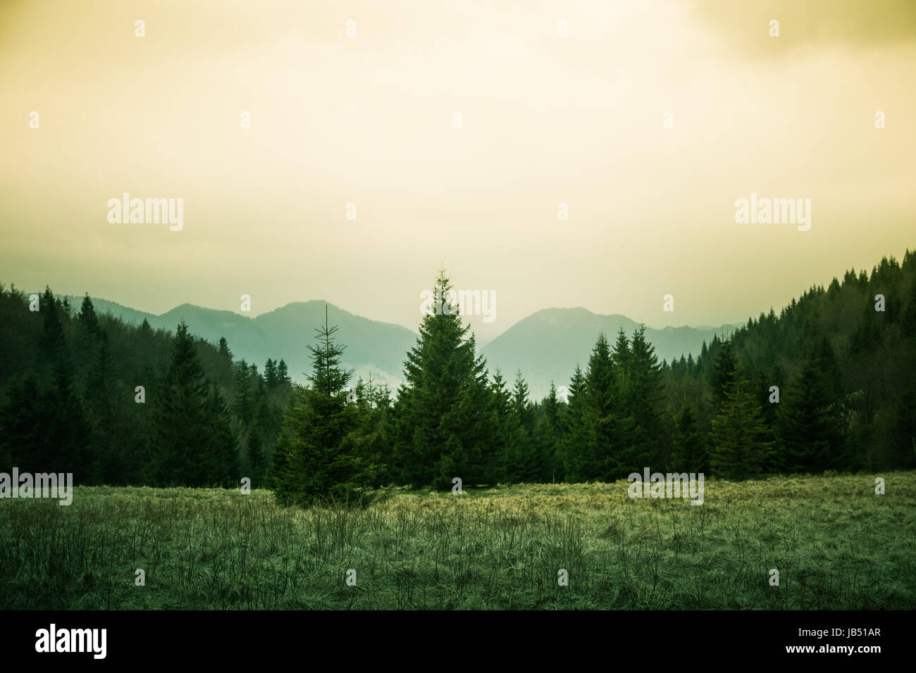 Hillside scenery hi-res stock photography and images - Alamy