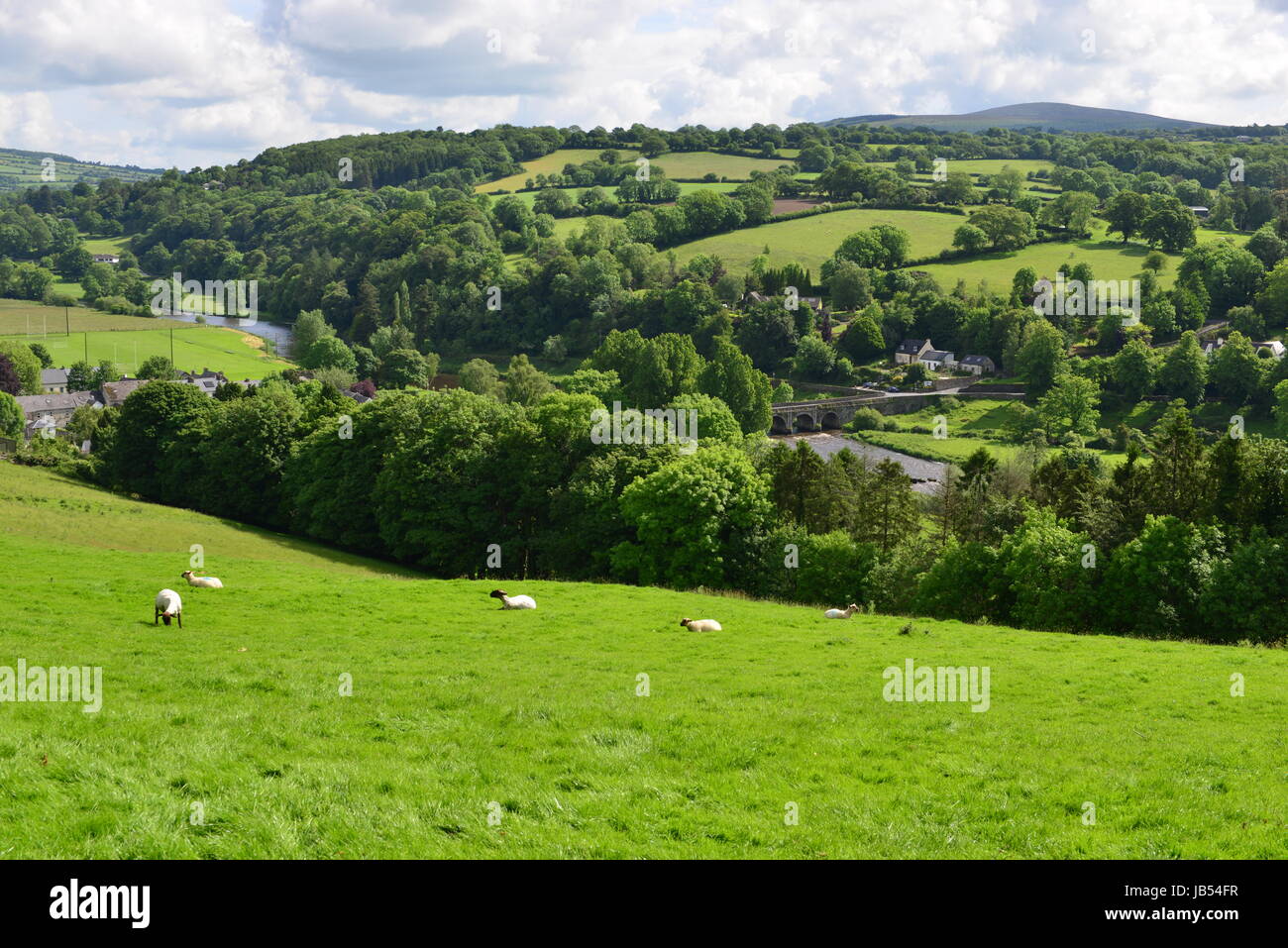 The bridge at the village of Inistioge in Summertime. Stock Photo