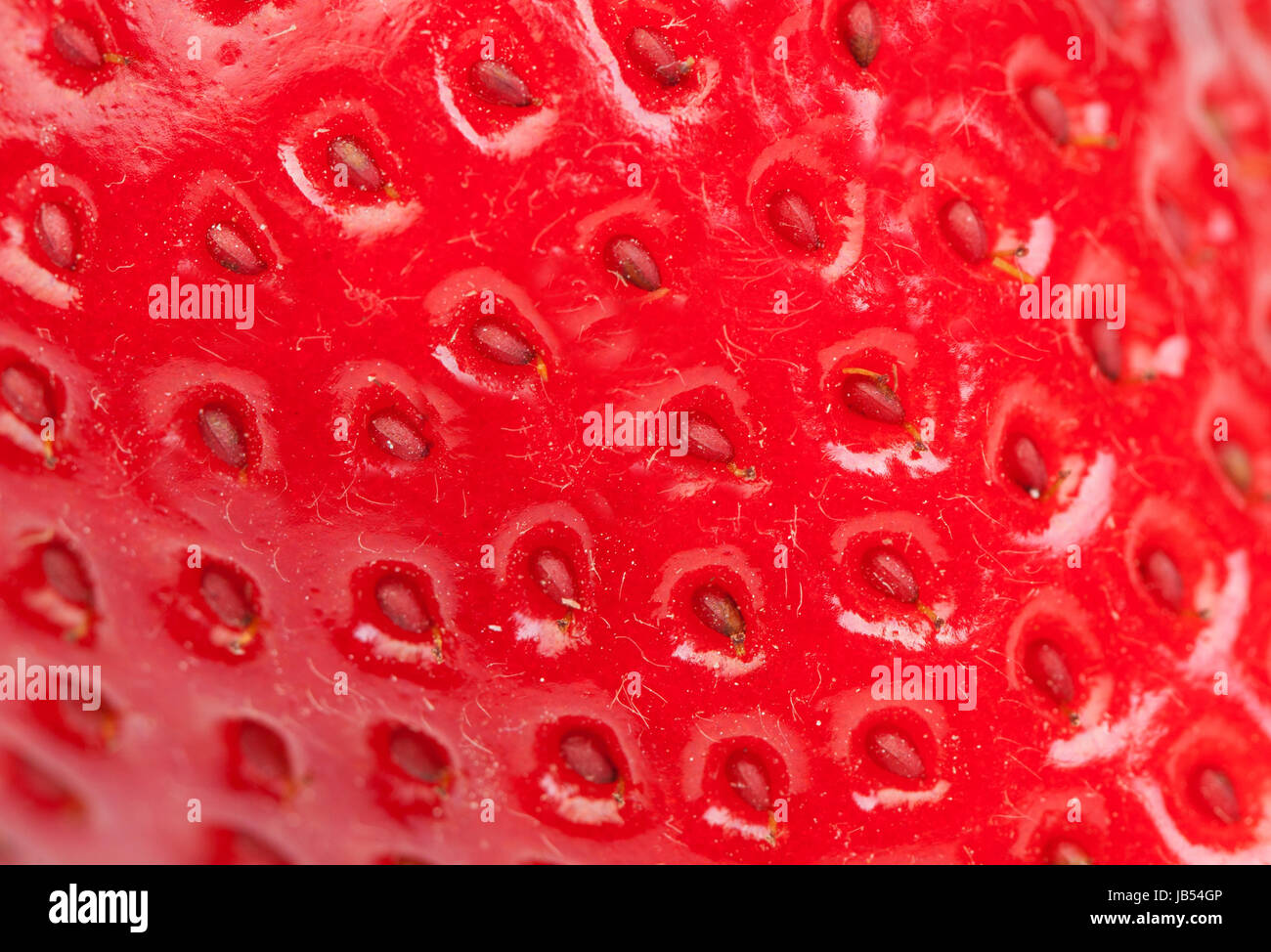 Macro of a strawberry isolated on white background Stock Photo - Alamy