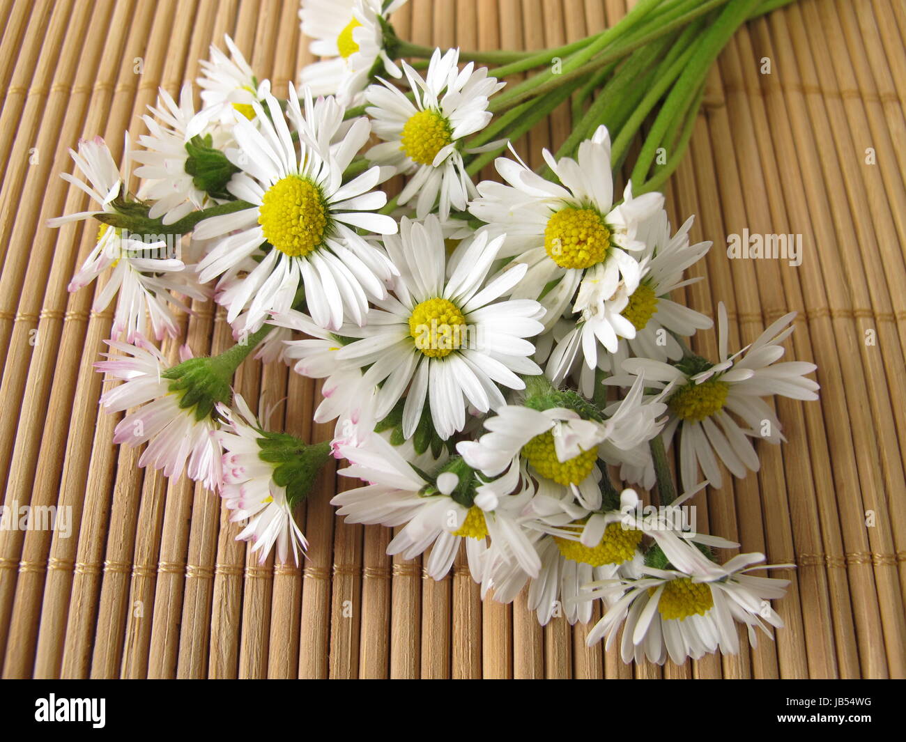 a bouquet of daisies Stock Photo Alamy
