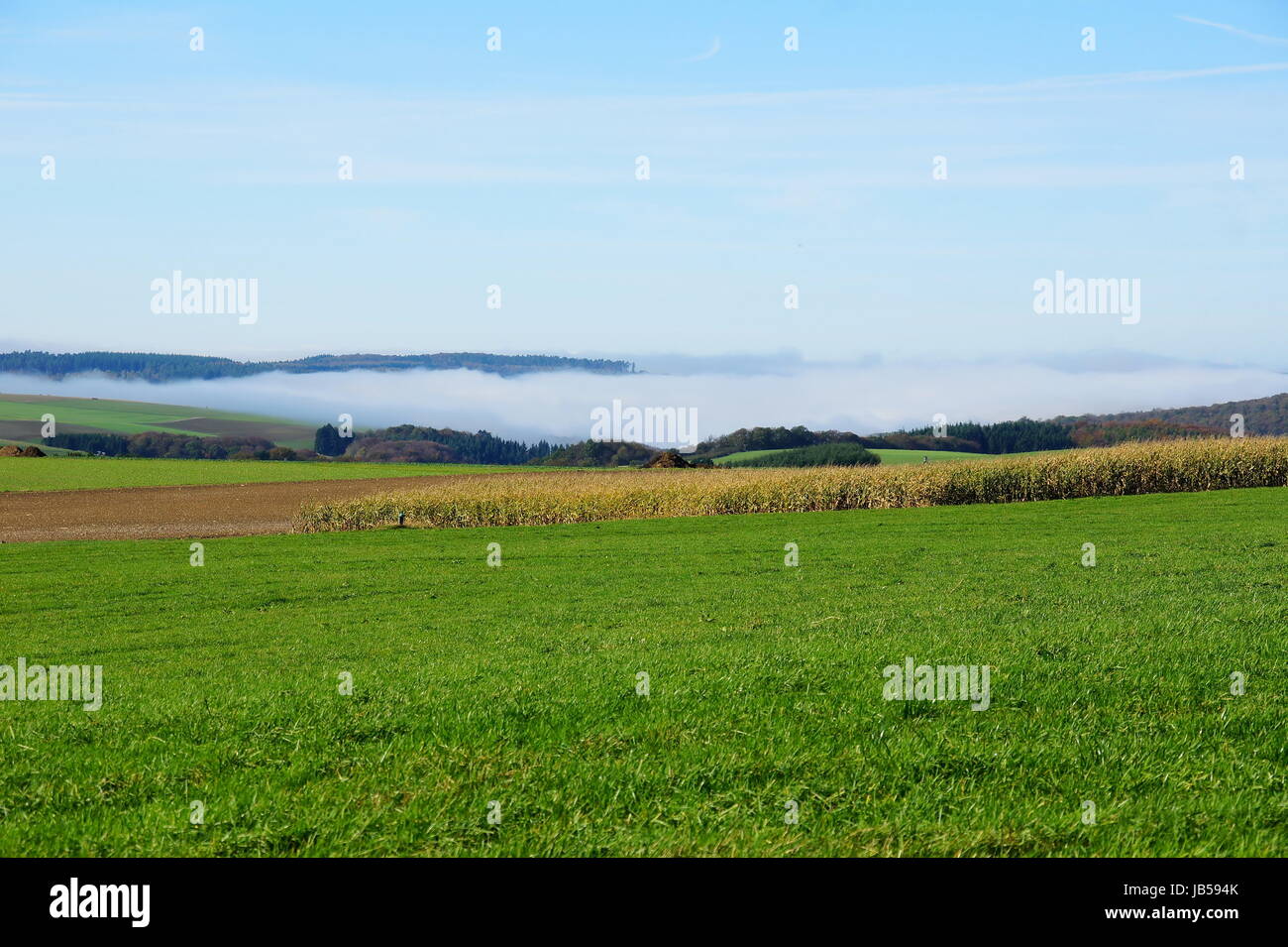 Nebel in den Tälern und Felder im Sonnenschein Stock Photo