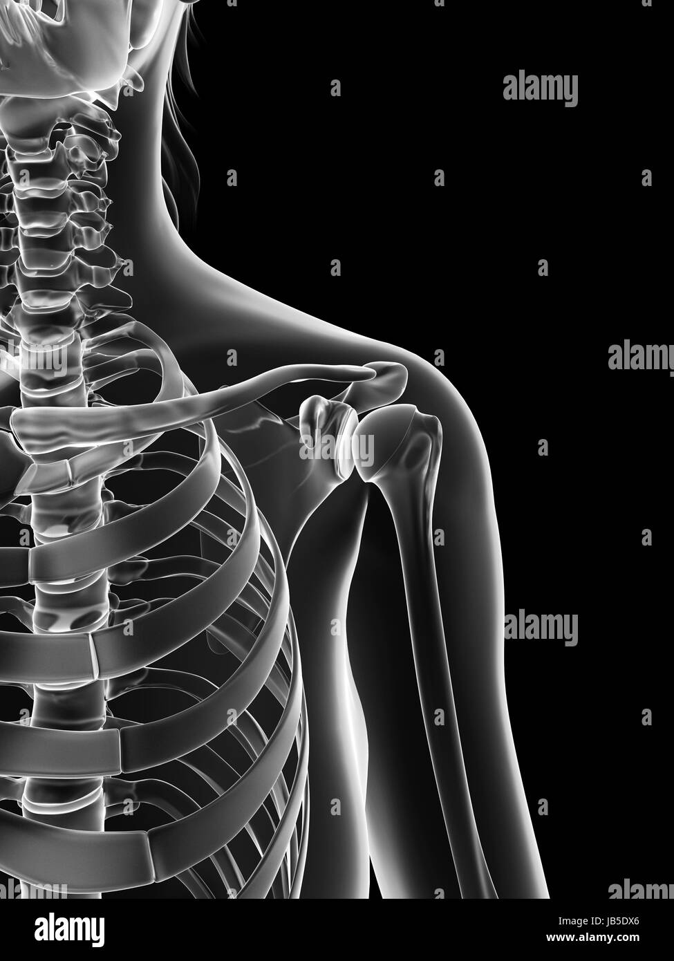 Healthy shoulder joint Black and White Stock Photos & Images - Alamy