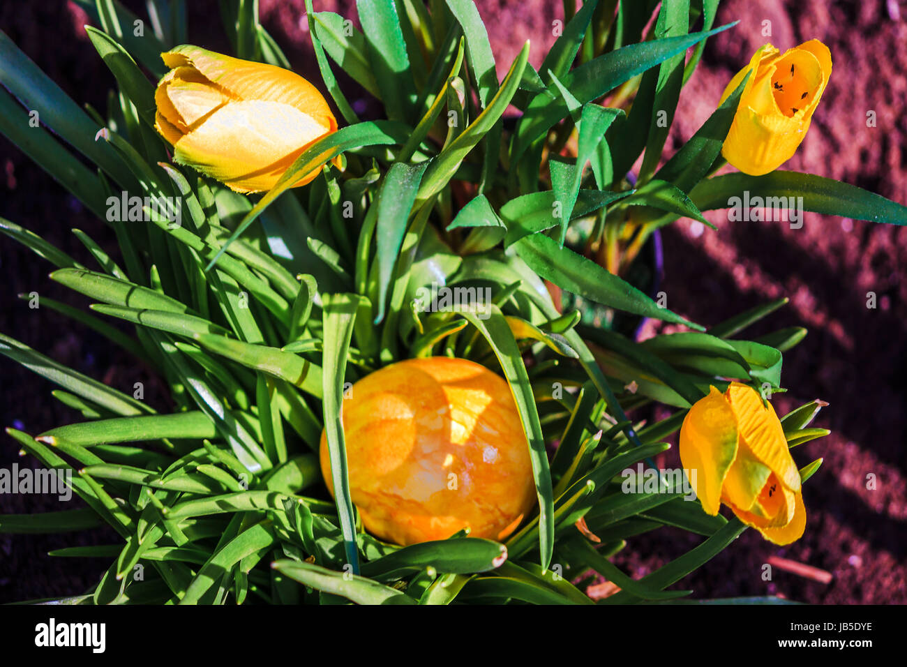 yellow easter egg and tulips in the garden Stock Photo - Alamy