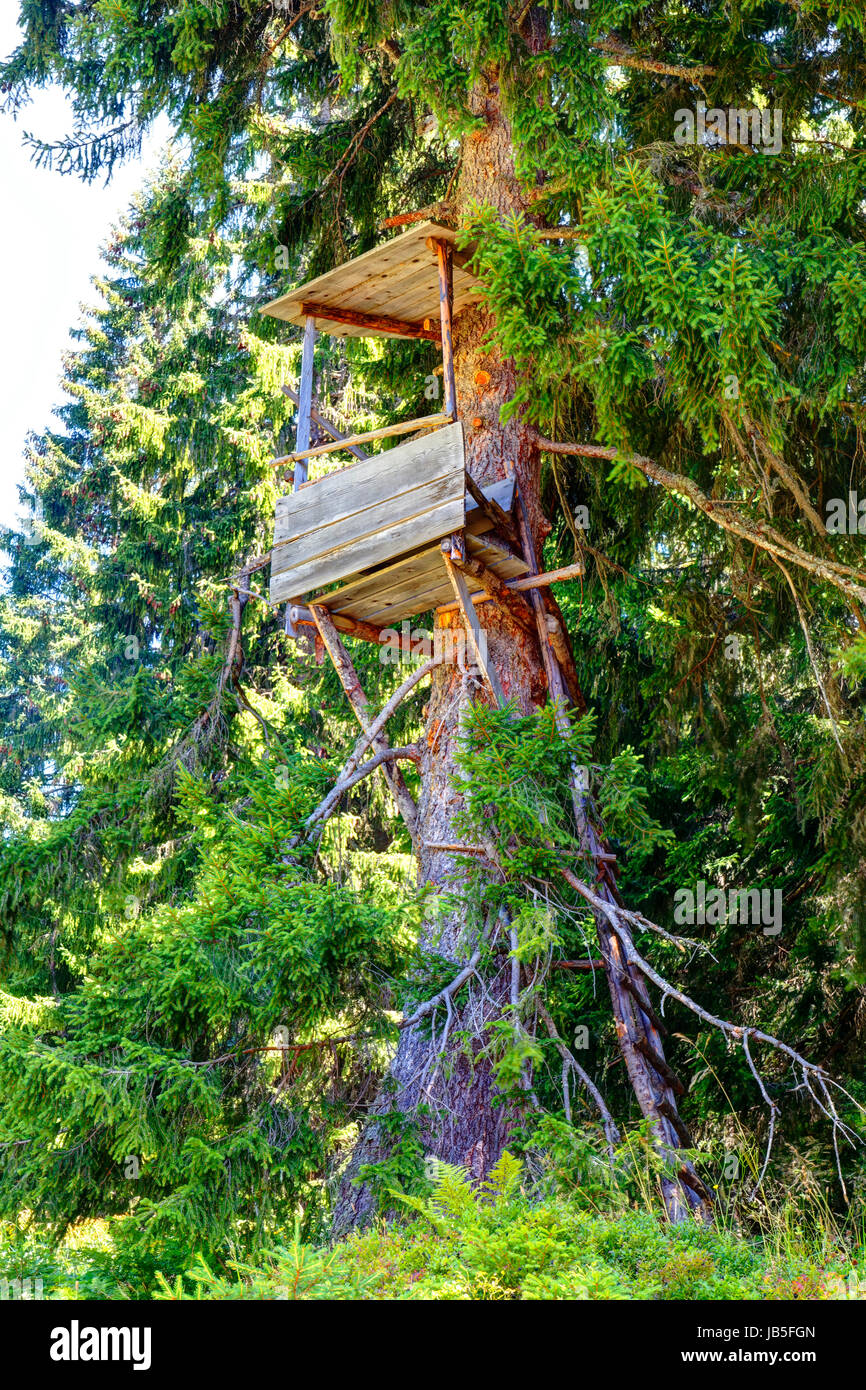 jägerstand on tree Stock Photo