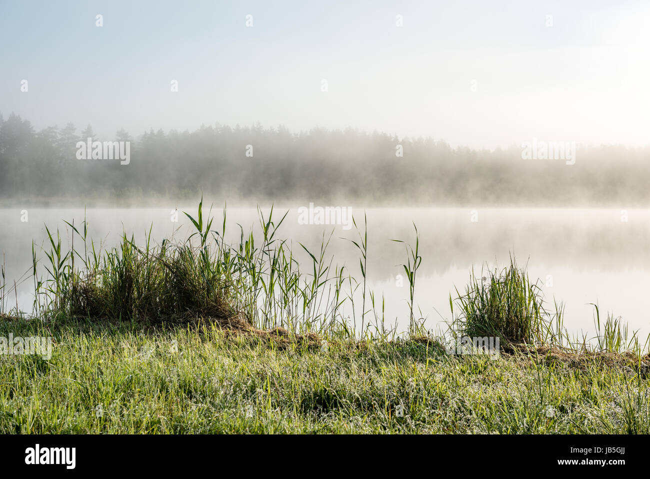 reflections in the lake water at sunrise with morning mist over the ...