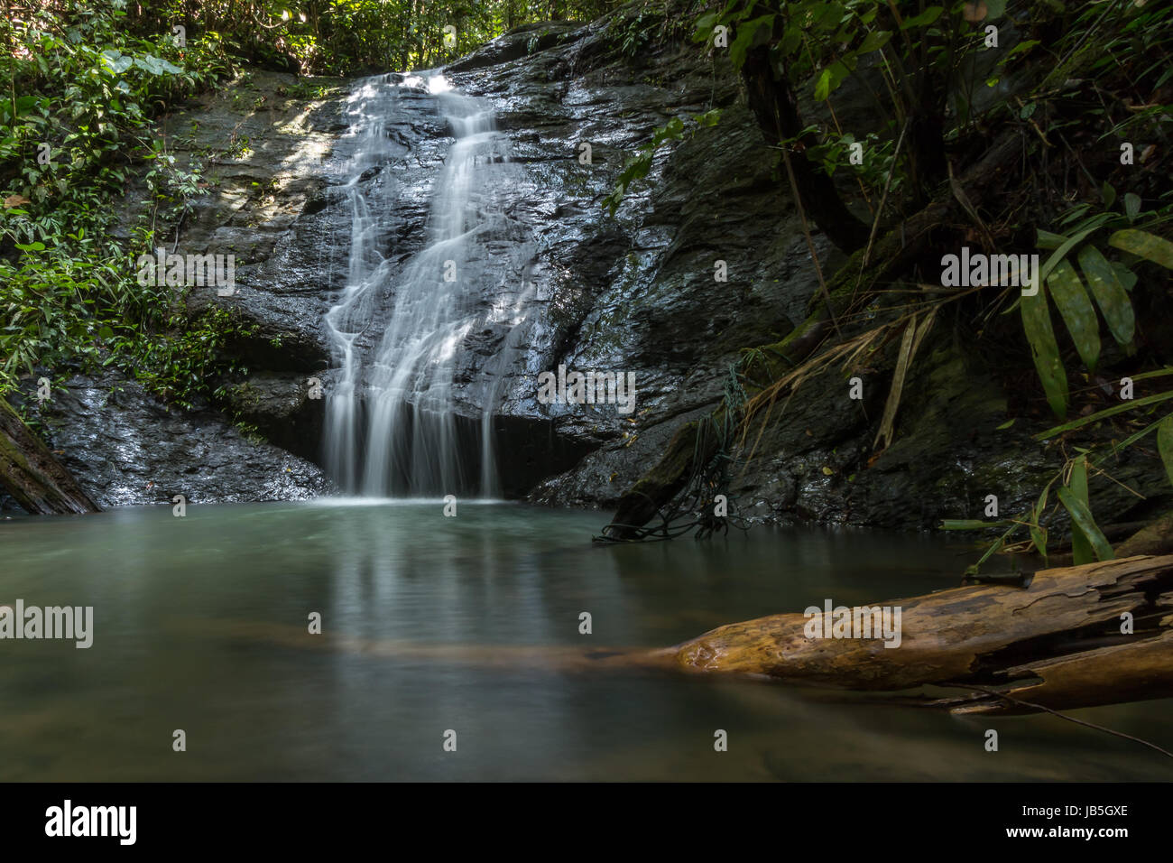 A small waterfall in a secluded part of the jungle in Ulu Temburong National Park in Brunei Stock Photo