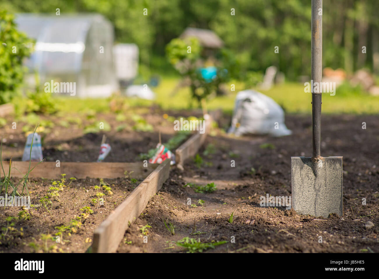 Close up shovel in garden hi-res stock photography and images - Alamy
