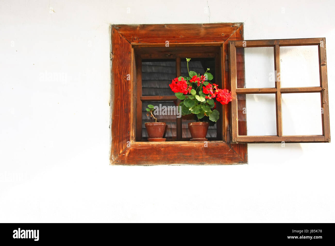 Old wooden window in a rural house with white wall. Red flower in a pot ...