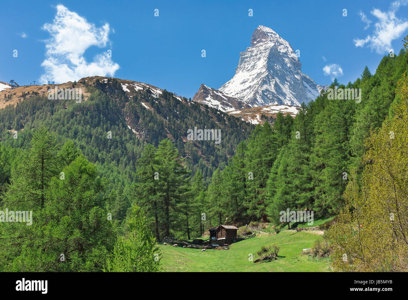 Alpine meadow on the background of the Matterhorn Stock Photo