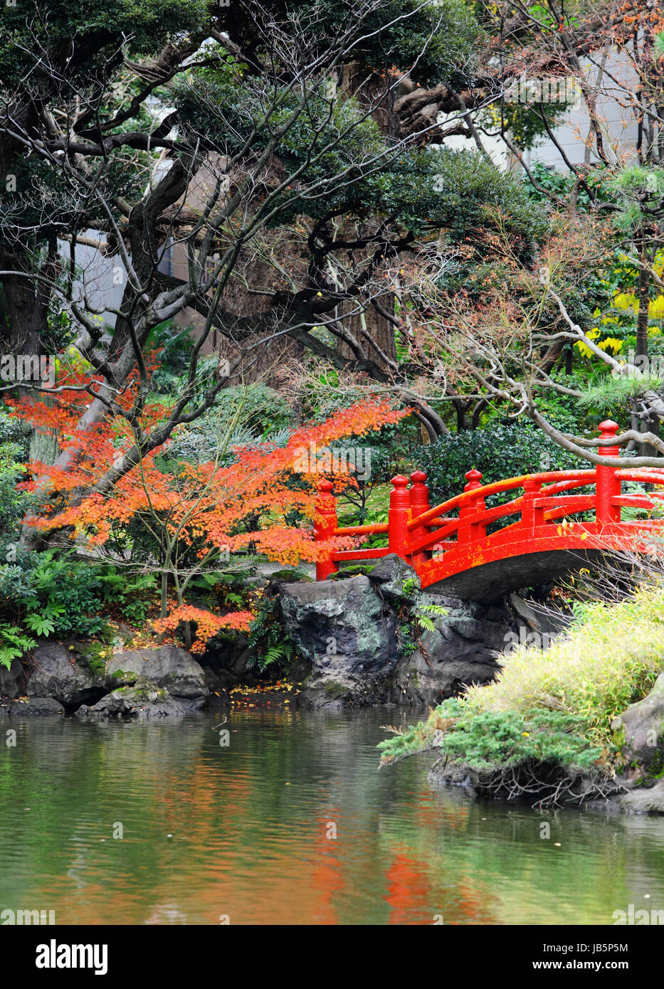 Red bridge in Japanese garden Stock Photo - Alamy