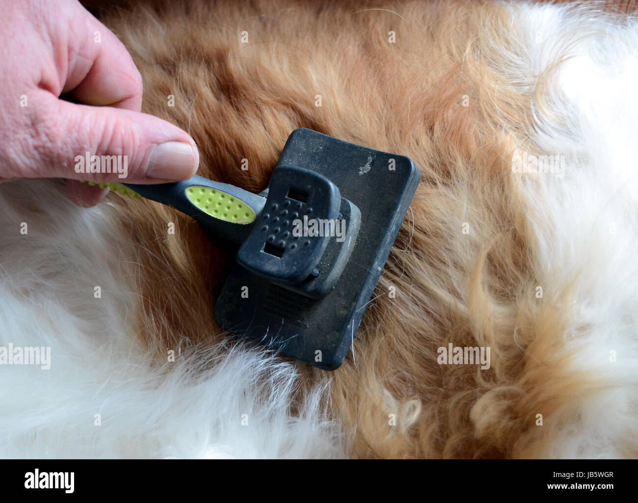 Hand carding hires stock photography and images Alamy