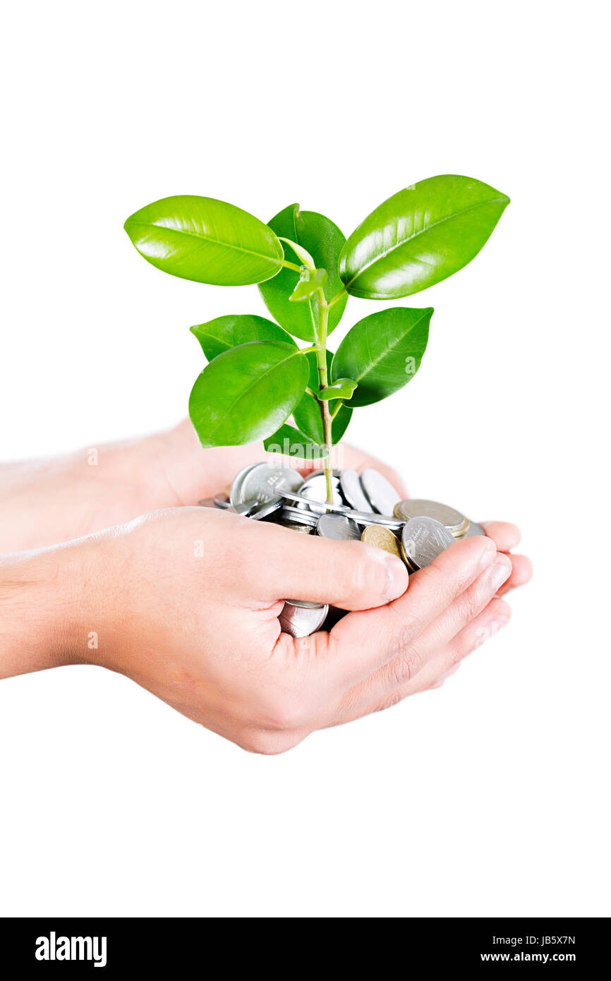 1 Man Money Hands-cupped Holding Plant With Coin Plant-life Safety Part-of Close up Stock Photo