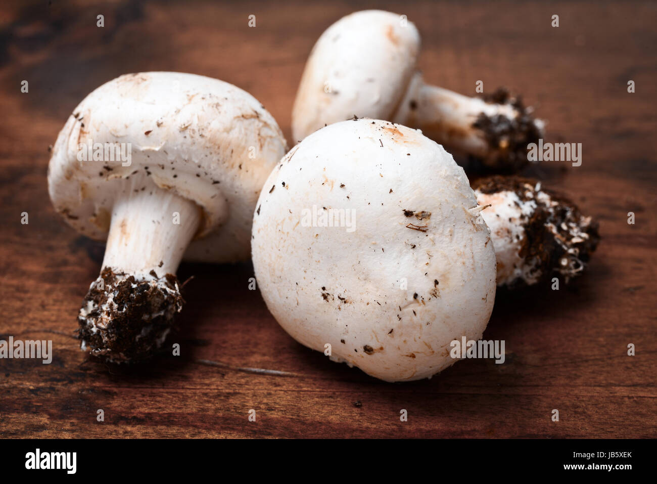 fresh champignon mushrooms. Freshly picked mushrooms, a resting a wooden table Stock Photo