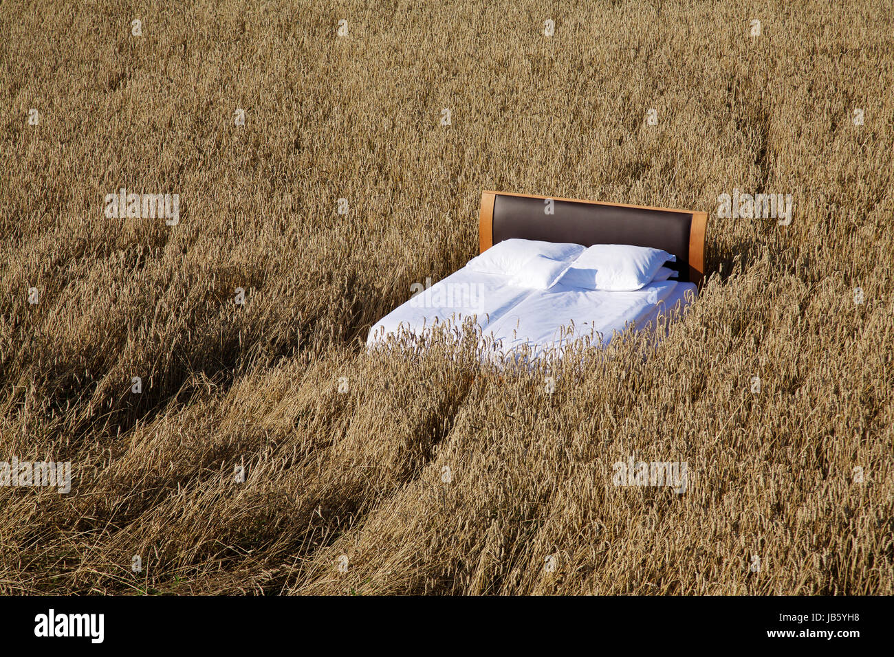 Landscape Bed Изображения: просматривайте стоковые фотографии, векторные изображ