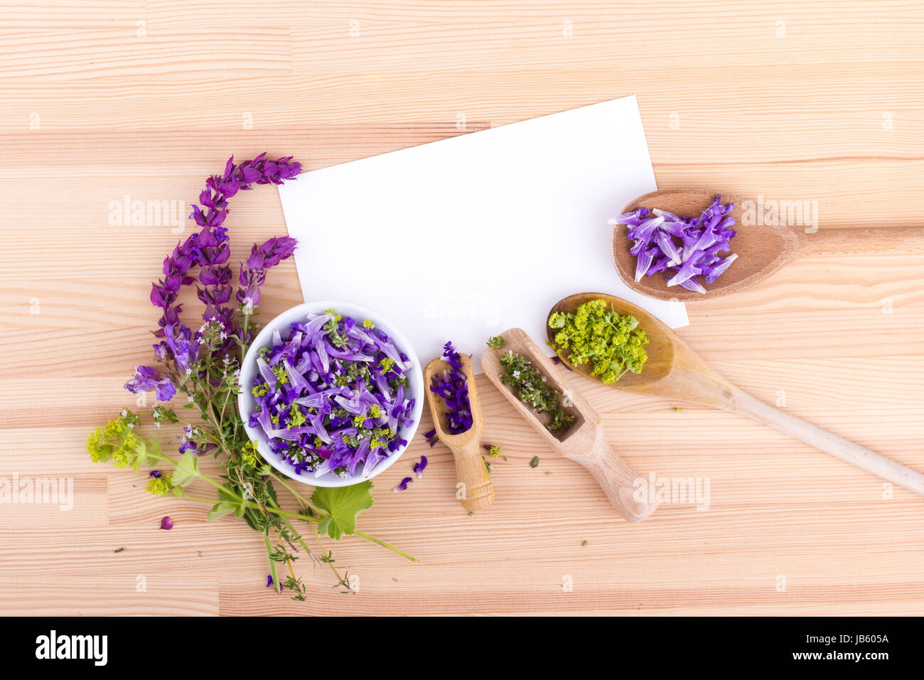 flowers of lavender, thyme and lady's mantle Stock Photo Alamy