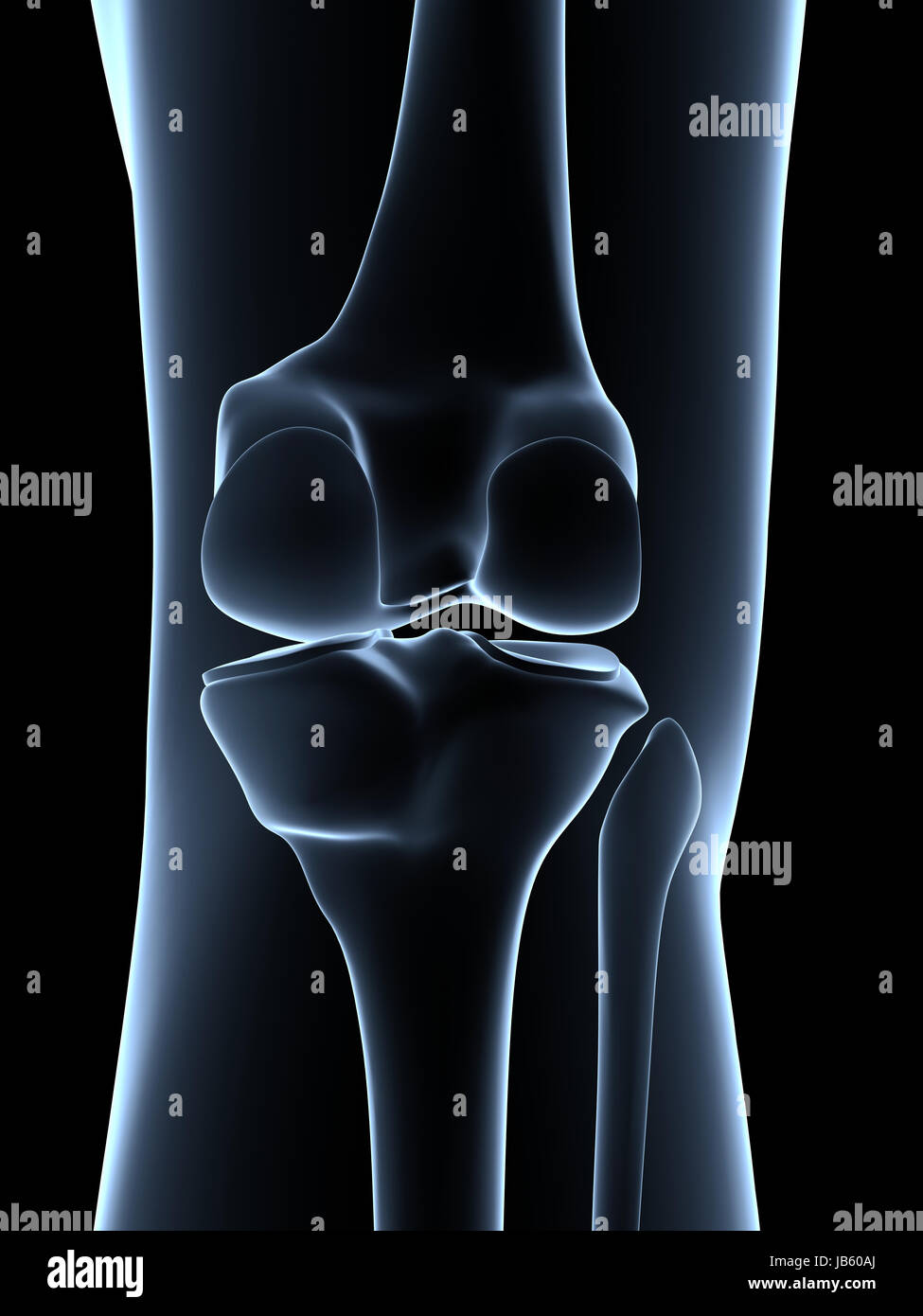 Knee Anatomy High Resolution Stock Photography and Images - Alamy