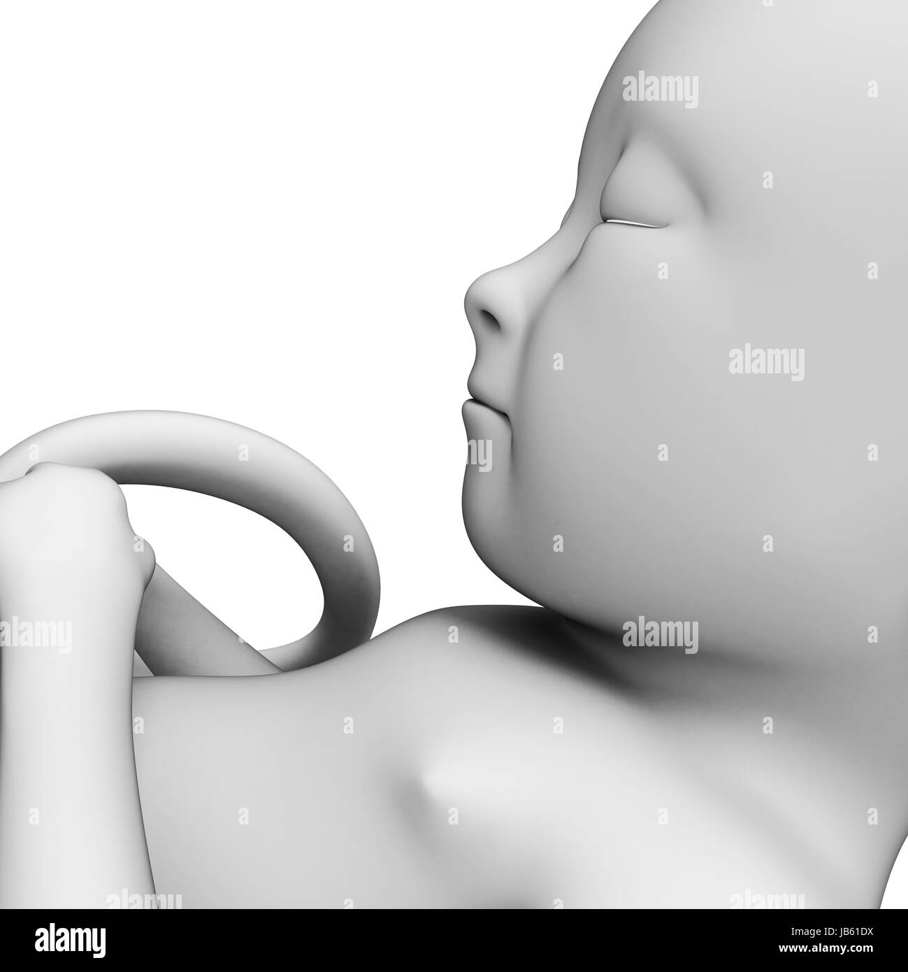 5 month fetus hi-res stock photography and images - Alamy