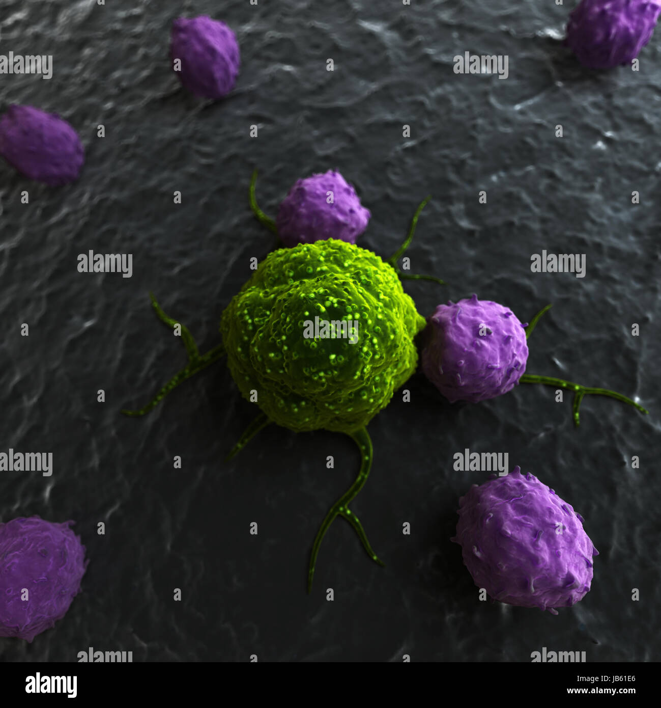 Immune System Attacking Cancer Cells High Resolution Stock Photography ...