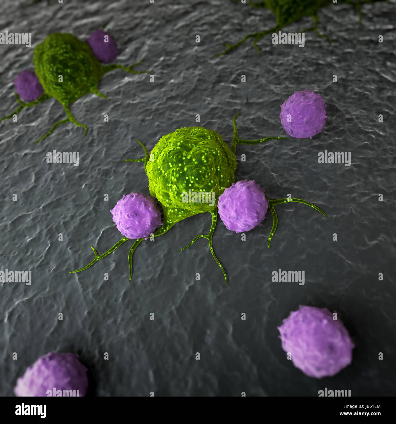 Immune System Attacking Cancer Cells High Resolution Stock Photography ...