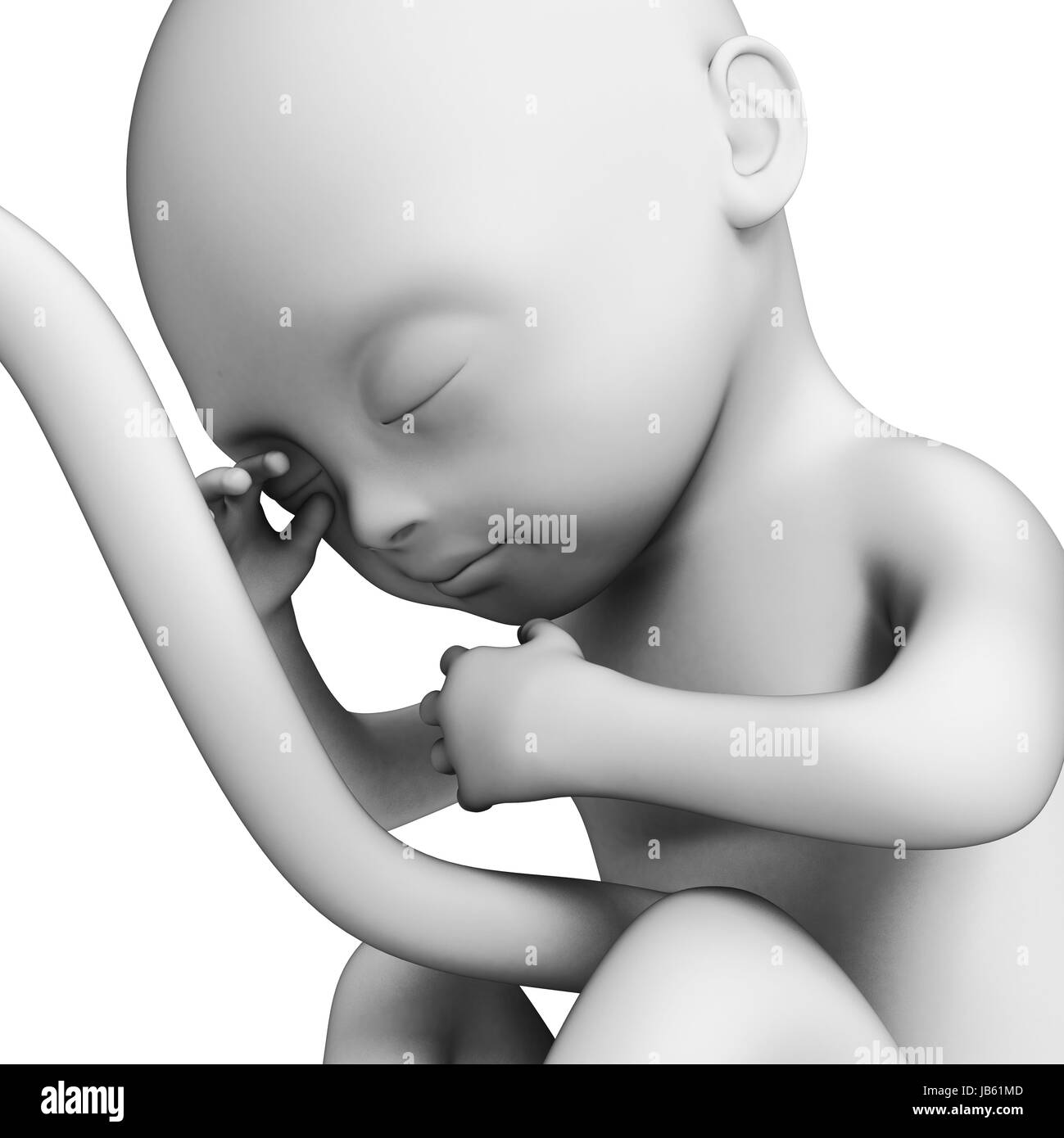 Foetus : 6 008 images, photos de stock, objets 3D et images vectorielles